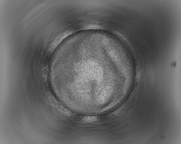 X0000115121313200911171319
