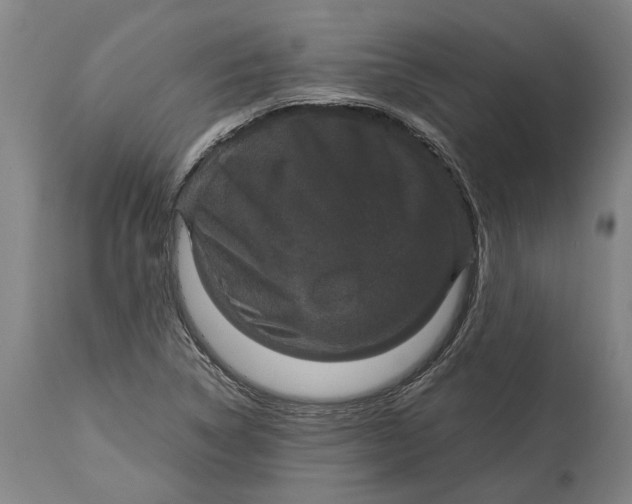 X0000115121314200911171319