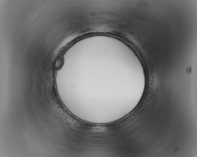 X0000115121315200911171319