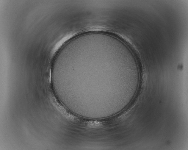 X0000115121317200911171319