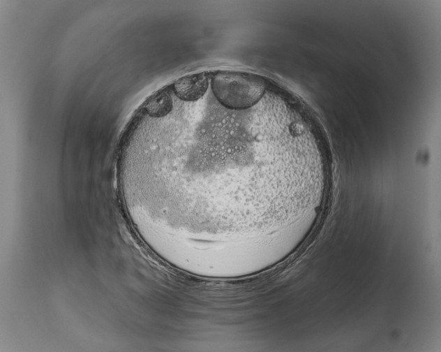 X0000115121318200911171319
