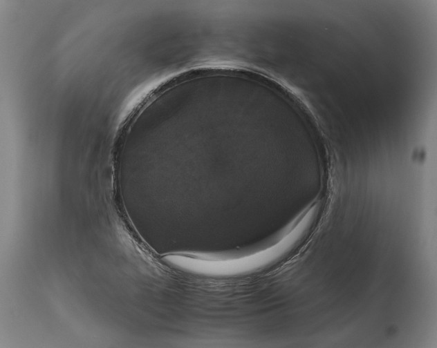 X0000115121319200911171319