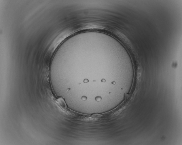 X0000115121321200911171319