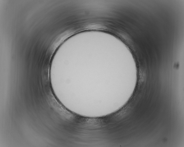 X0000115121322200911171319