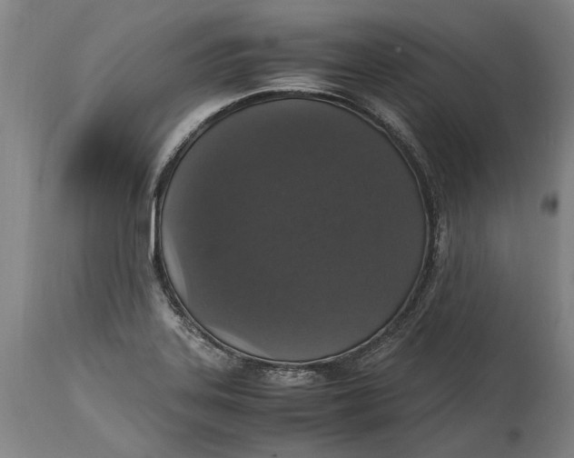 X0000115121323200911171319