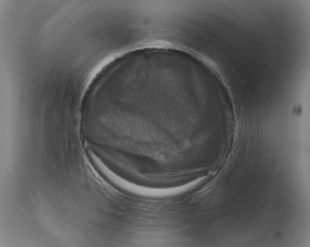 X0000115121326200911171319
