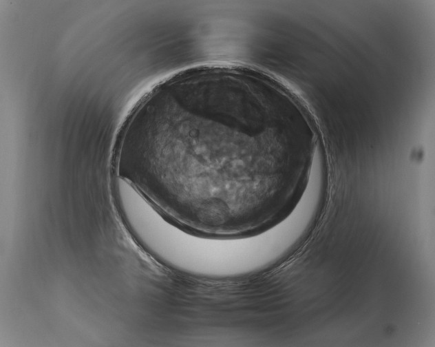 X0000115121327200911171319