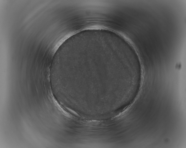 X0000115121329200911171319
