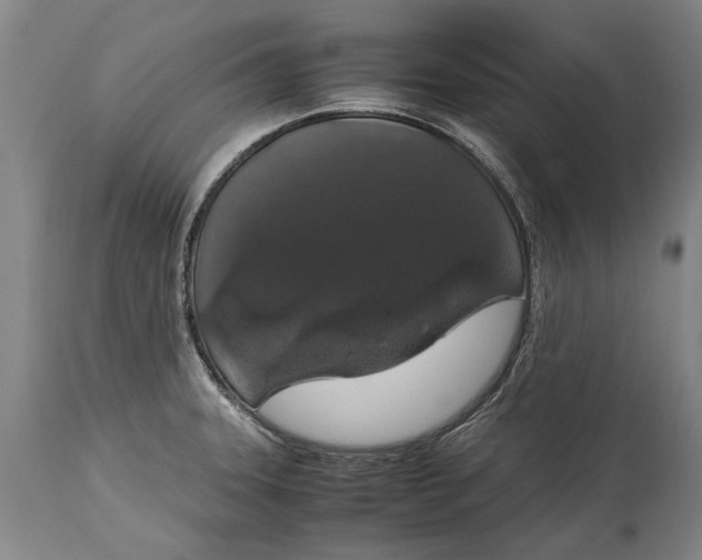X0000115121331200911171319