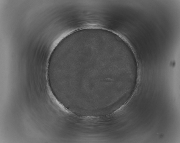 X0000115121333200911171319