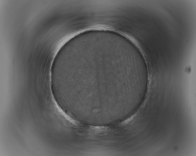 X0000115121335200911171319