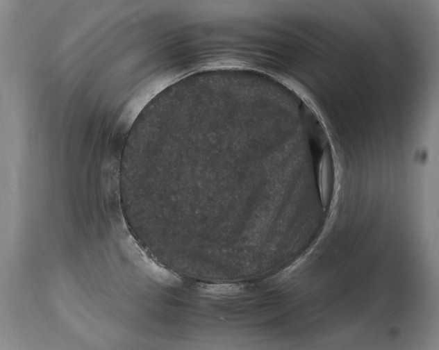 X0000115121337200911171319