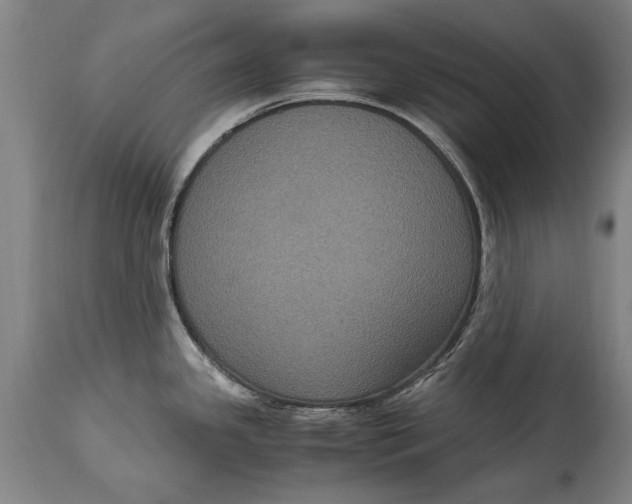 X0000115121341200911171319