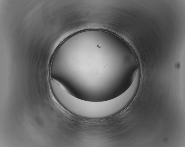 X0000115121342200911171319