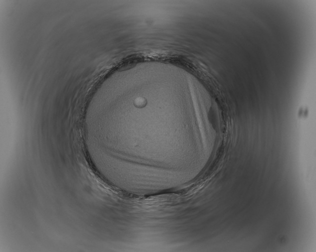X0000115121345200911171319