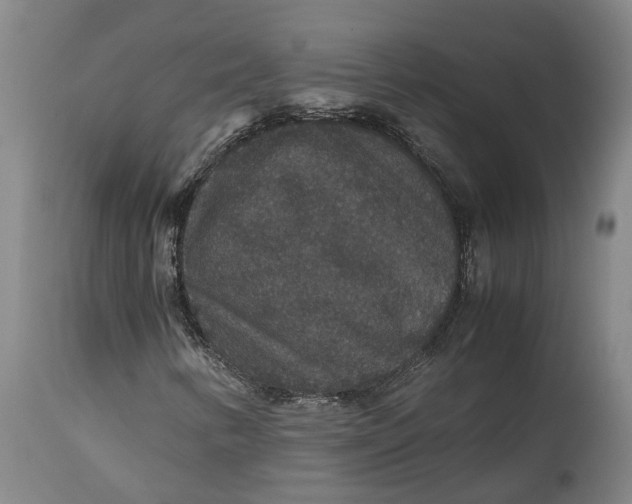 X0000115121346200911171319