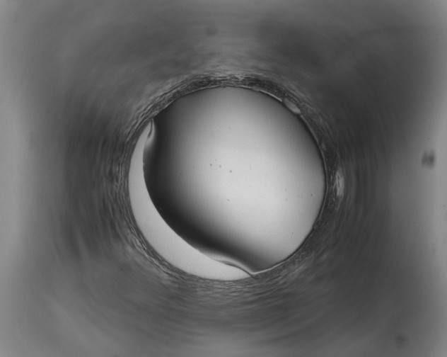 X0000115121348200911171319