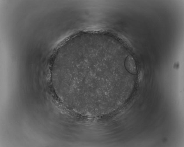 X0000115121350200911171319