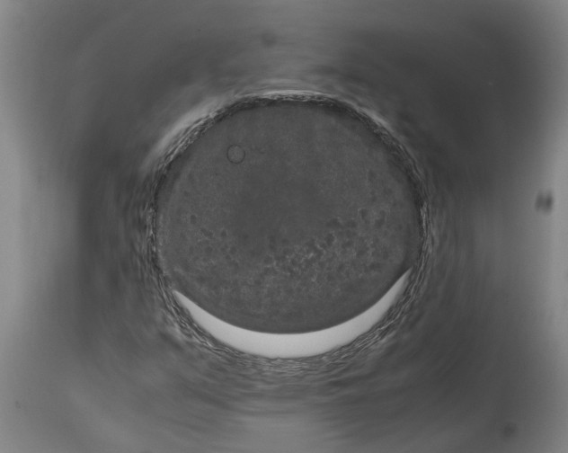 X0000115121351200911171319