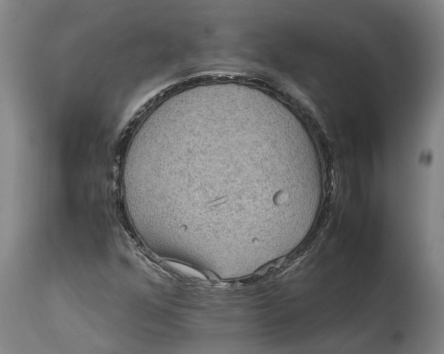 X0000115121352200911171319