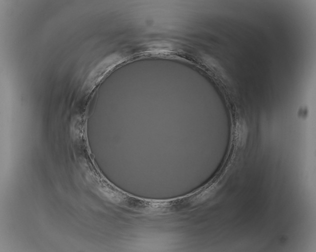 X0000115121353200911171319