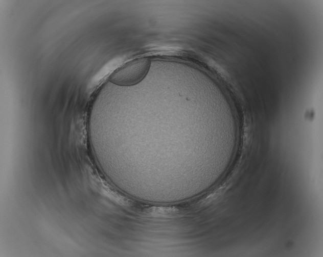 X0000115121354200911171319