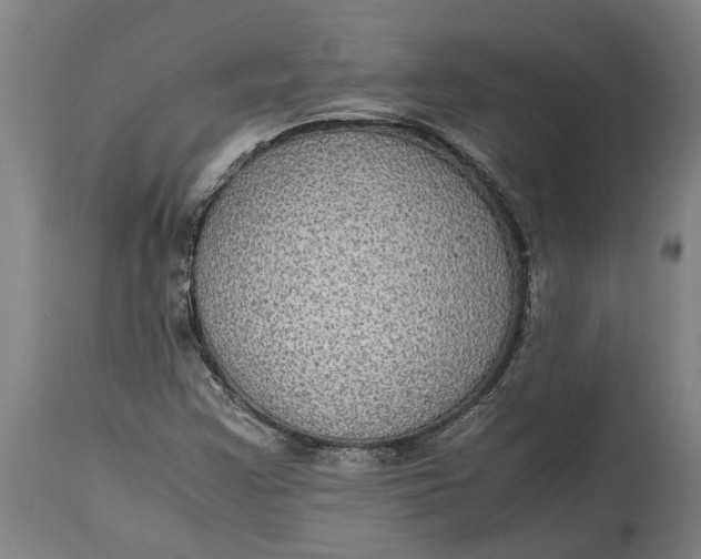 X0000115121355200911171319