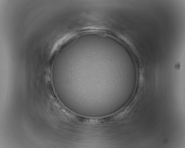 X0000115121357200911171318