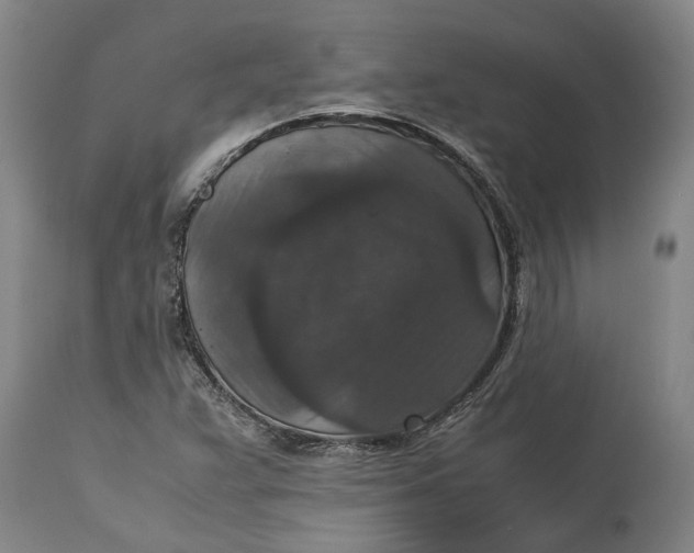 X0000115121359200911171318