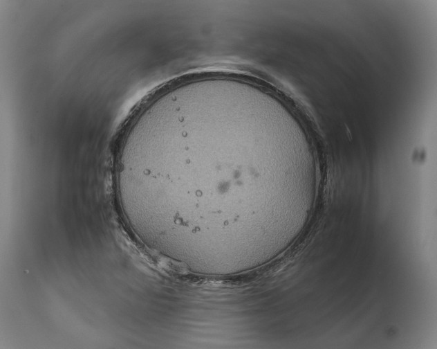 X0000115121360200911171318