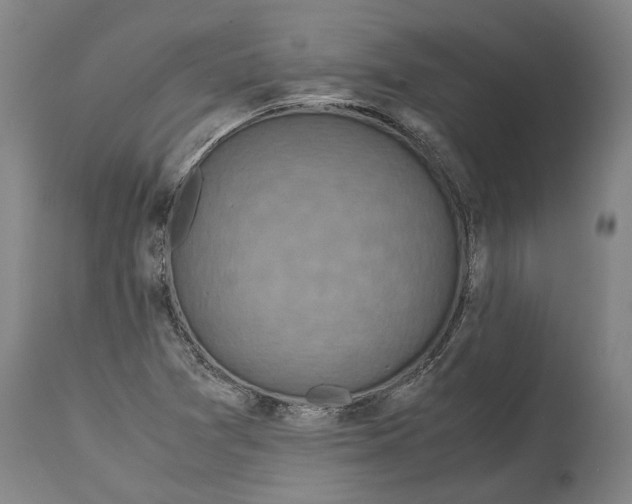 X0000115121361200911171318