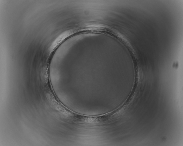 X0000115121362200911171318