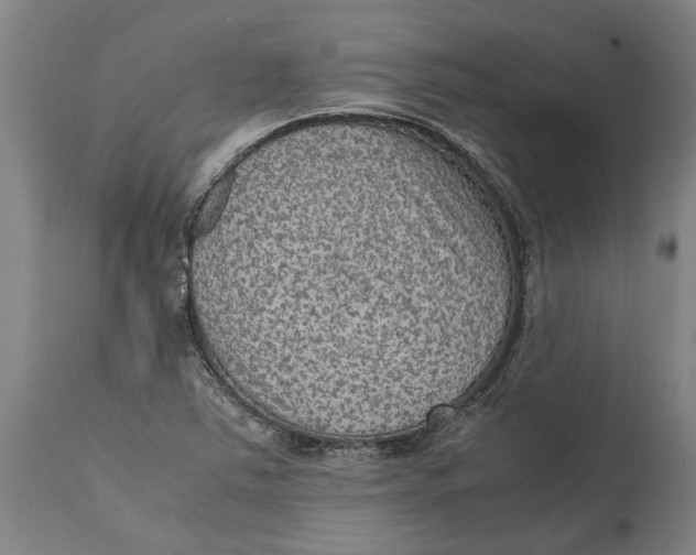 X0000115121363200911171318