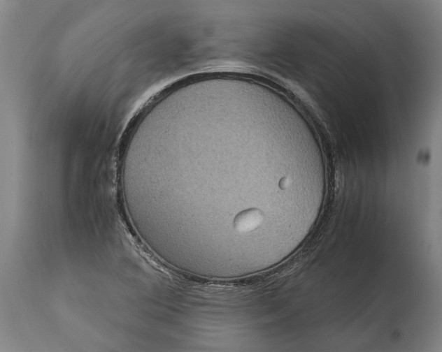 X0000115121364200911171318