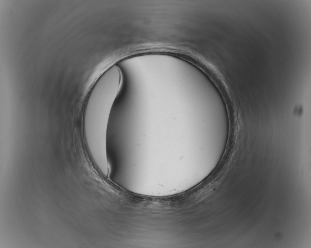 X0000115121365200911171318
