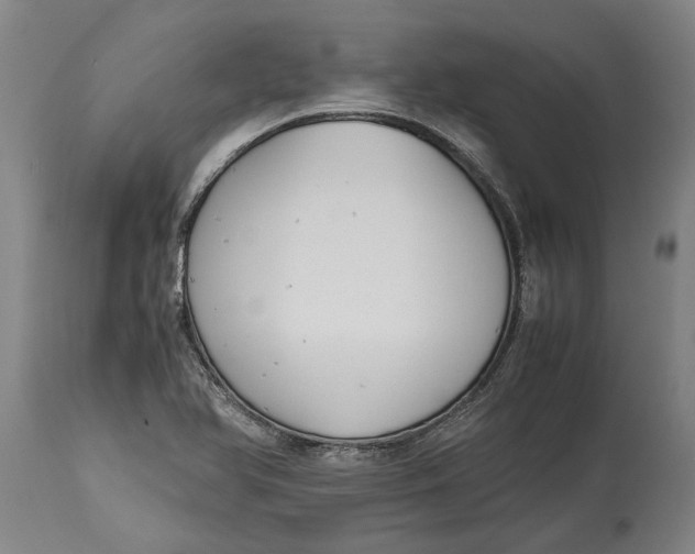 X0000115121366200911171318
