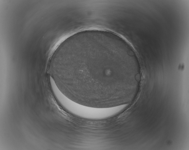 X0000115121367200911171318