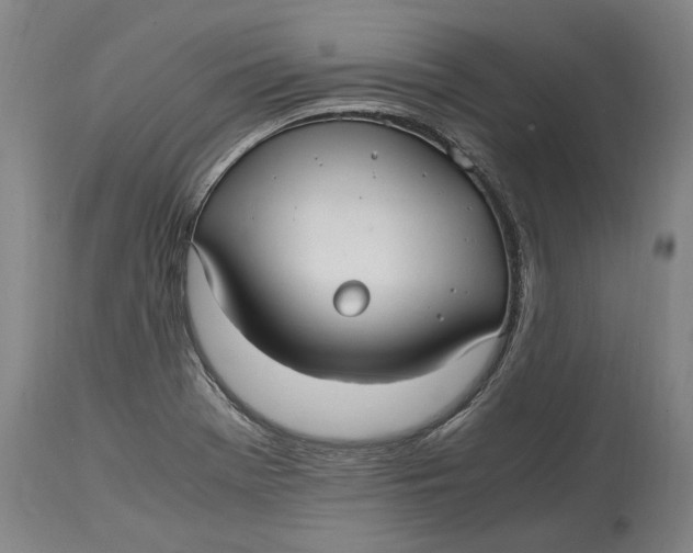 X0000115121369200911171318