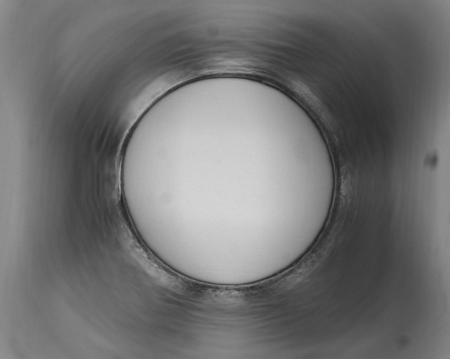 X0000115121370200911171318