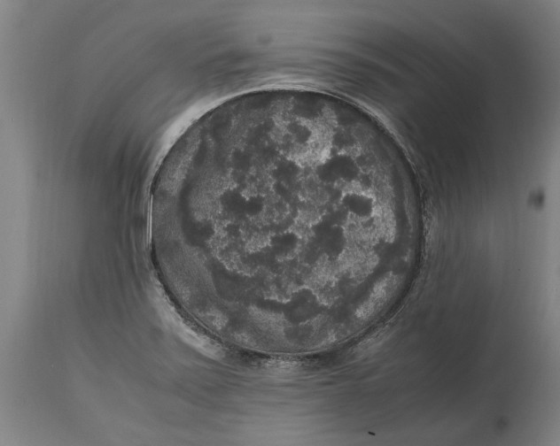 X0000115121371200911171318