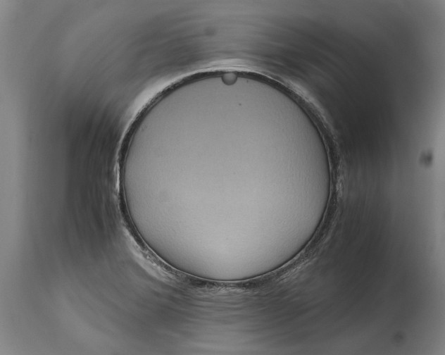 X0000115121372200911171318