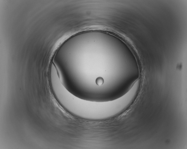X0000115121373200911171318