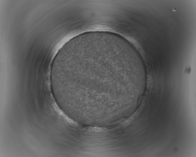 X0000115121374200911171318