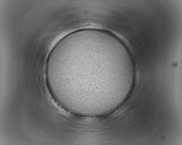 X0000115121375200911171318