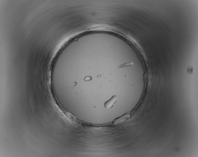 X0000115121376200911171318