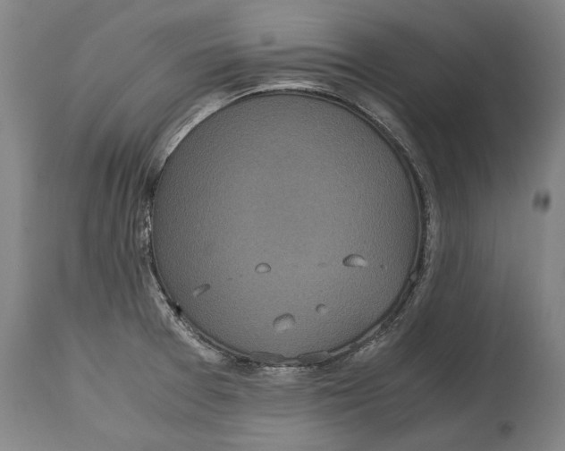 X0000115121377200911171318
