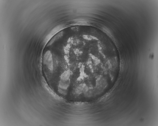 X0000115121378200911171318