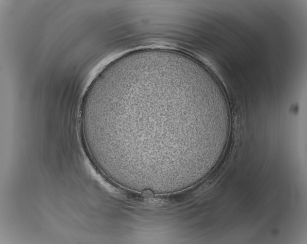 X0000115121379200911171318