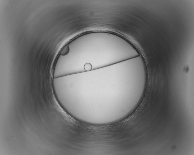 X0000115121380200911171318