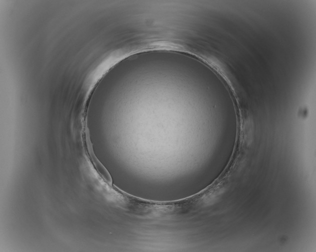 X0000115121381200911171318